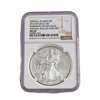 2013 Silver Eagle - Burnished - Annual Dollar Set 
